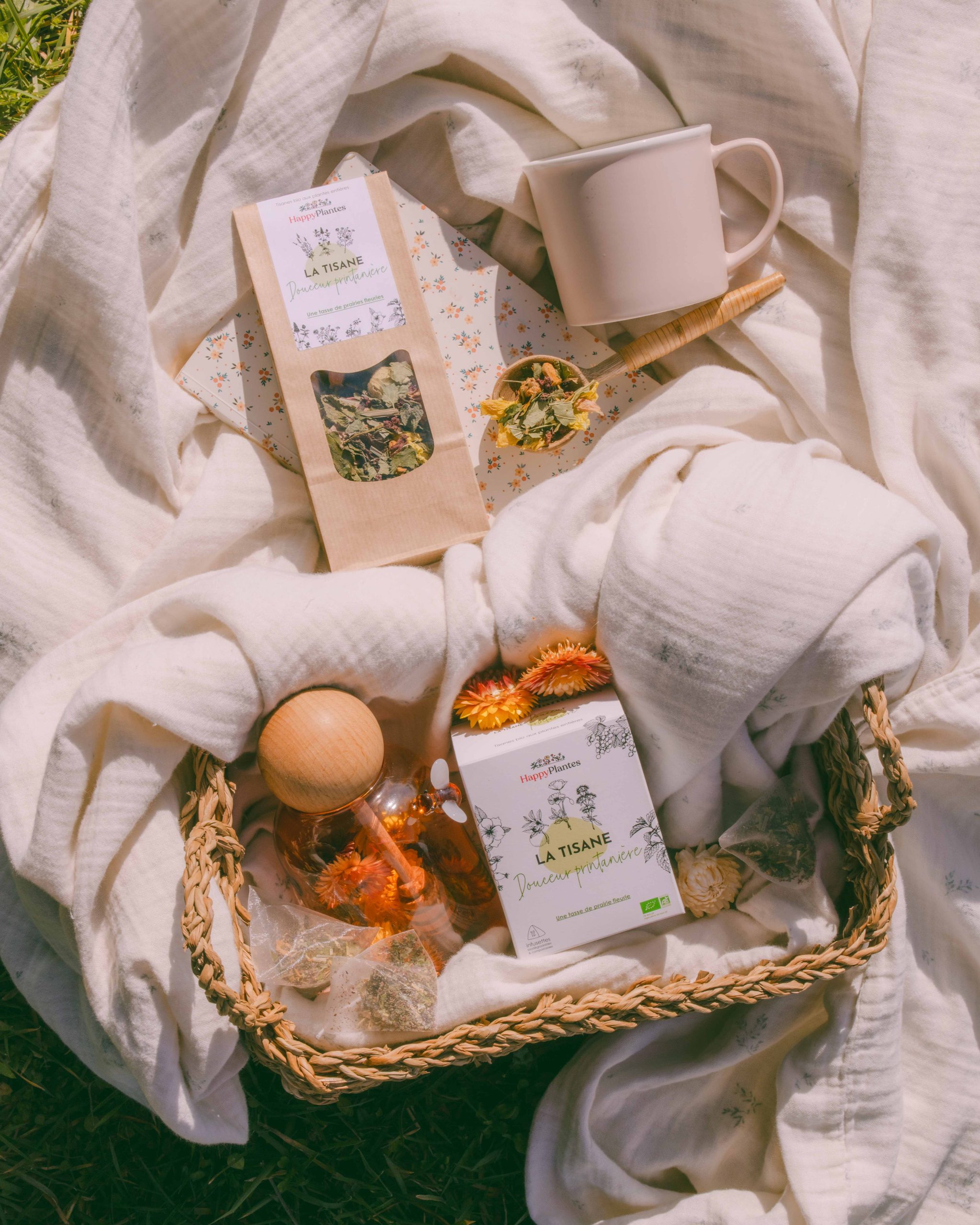 infusionbio-france-digestion-printemps