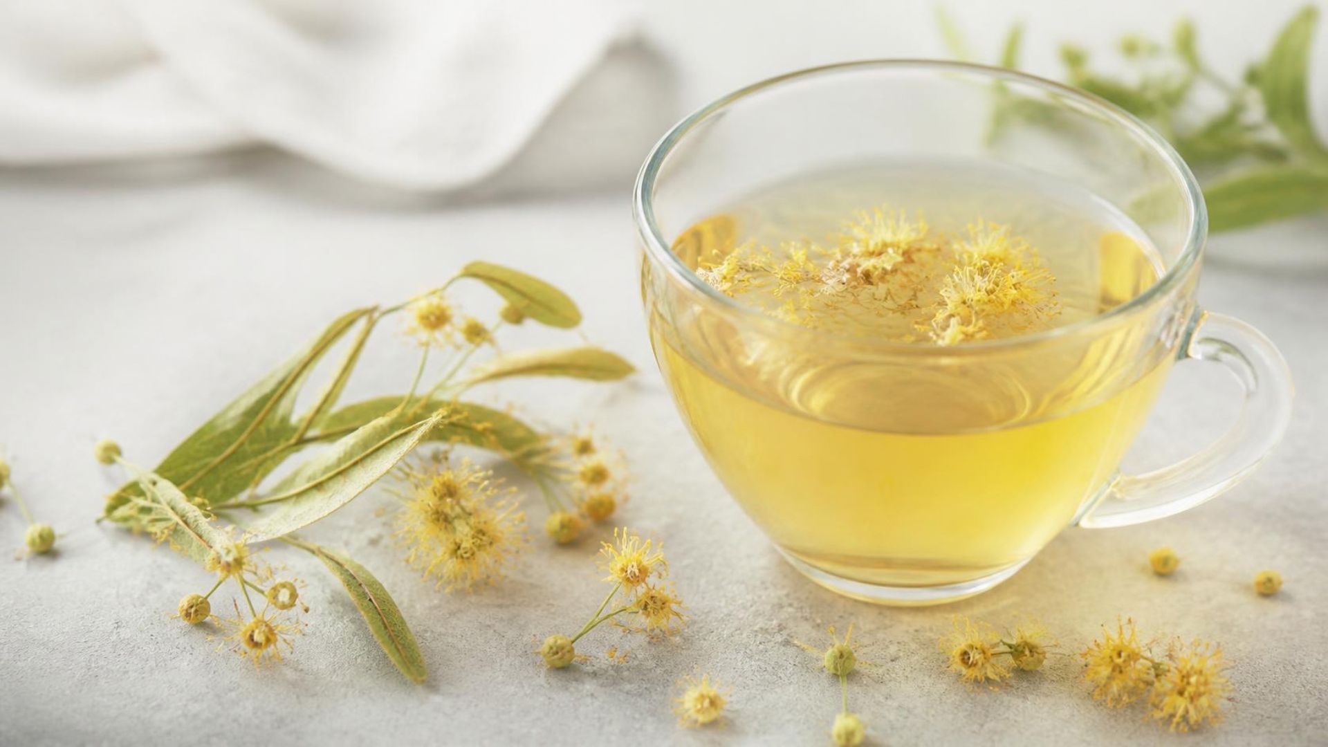 Tisane de tilleul : bienfaits, préparation et précautions