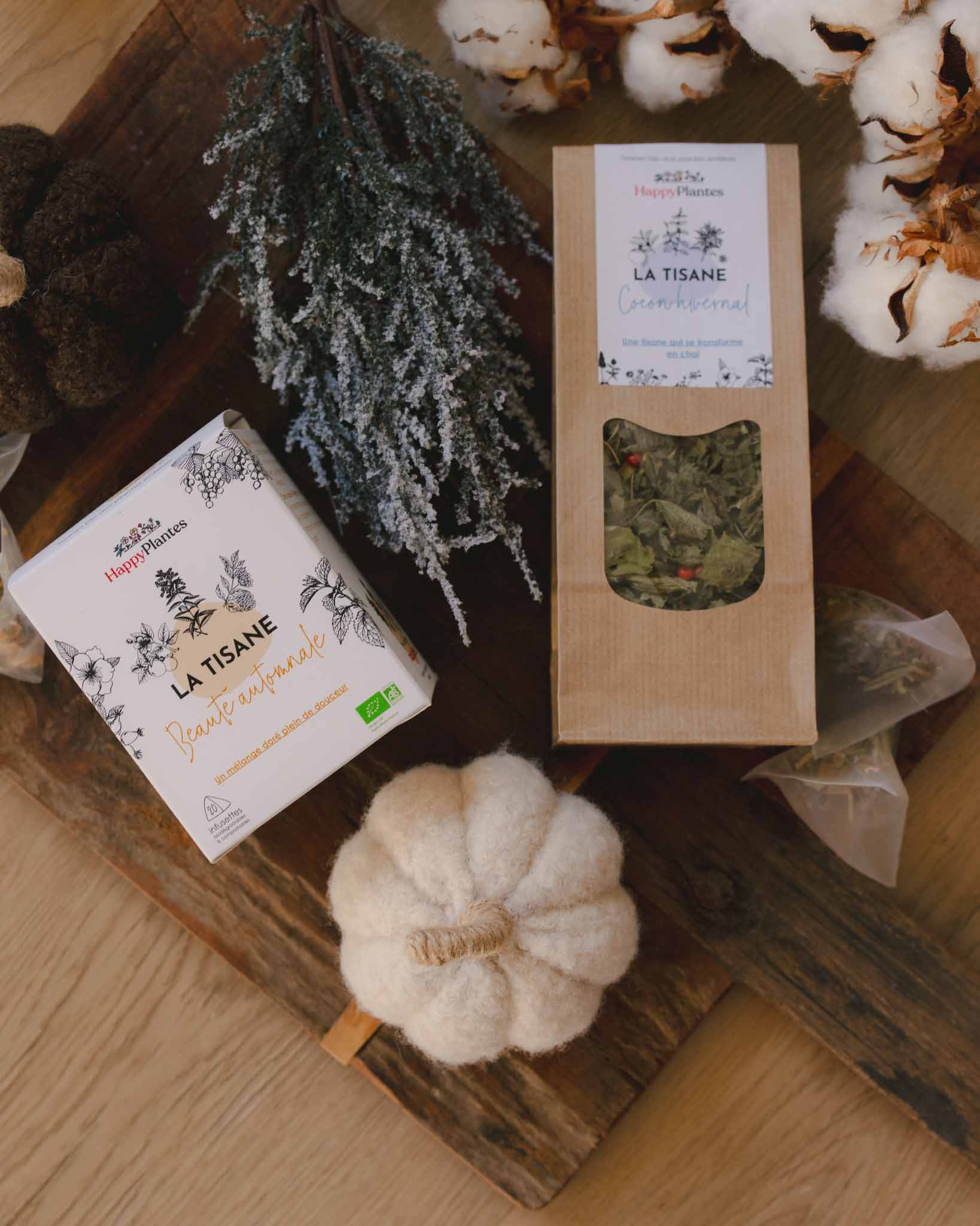tisanes-hiver-automne-froid